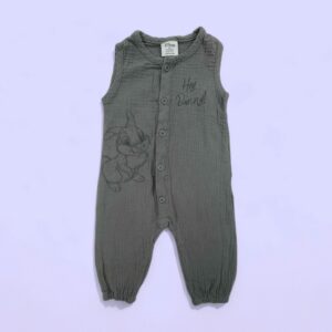 Disney | 6-9m